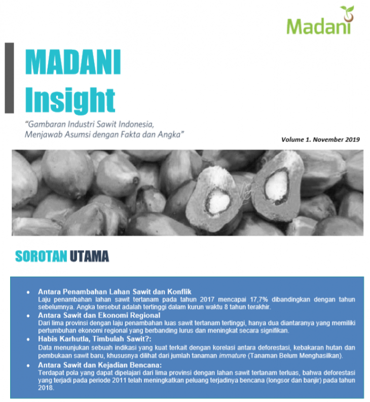 Madani Insight Vol.1