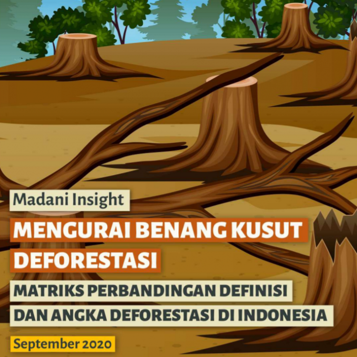 Madani Insight: Mengurai Benang Kusut Deforestasi