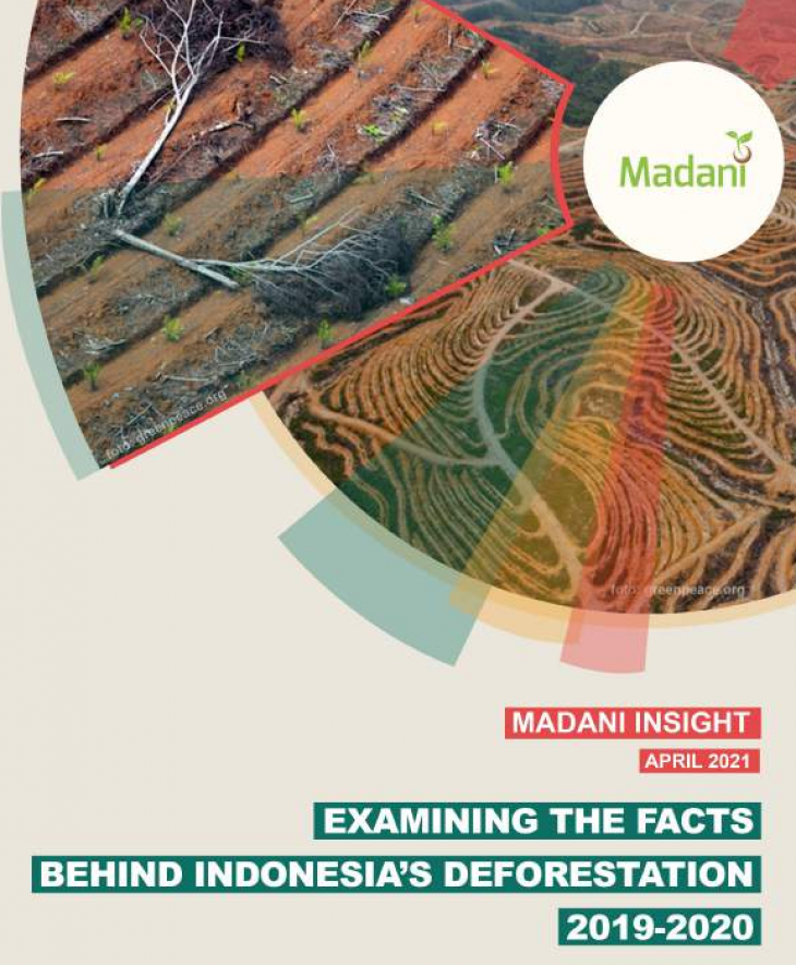 Examining The Fact Behind Indonesia’s Deforestation 2019-2020
