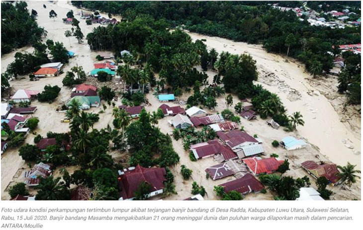Banjir Bandang Luwu Utara, Sawit dan Pembukaan Lahan