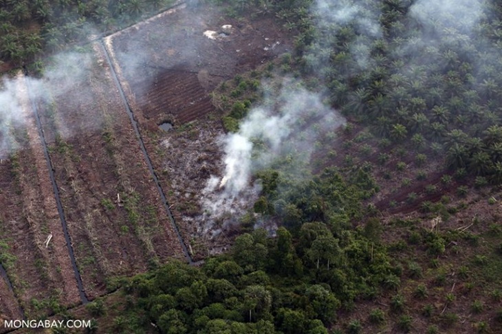 Indonesia Braces for Return of Fire Season as Hotspots Flare Up