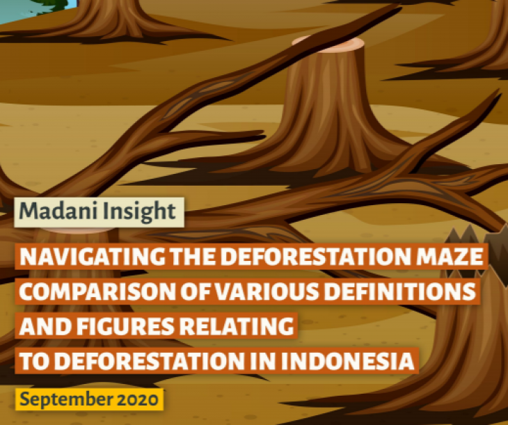 NAVIGATING THE DEFORESTATION MAZE COMPARISON OF VARIOUS DEFINITIONS AND FIGURES RELATING TO DEFORESTATION IN INDONESIA
