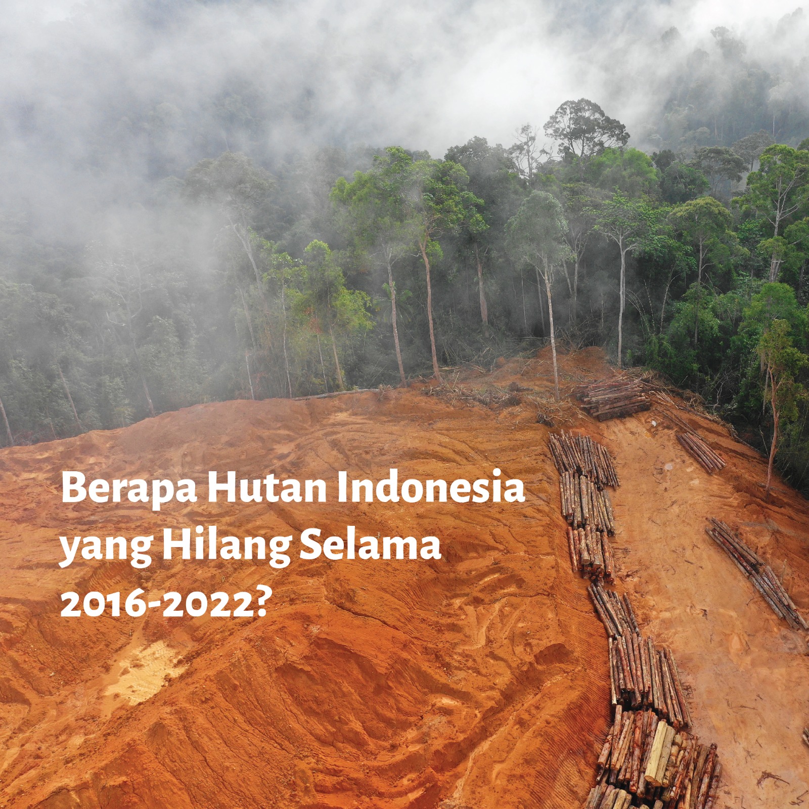 Berapa Hutan Indonesia yang Hilang Selama 2016-2022?