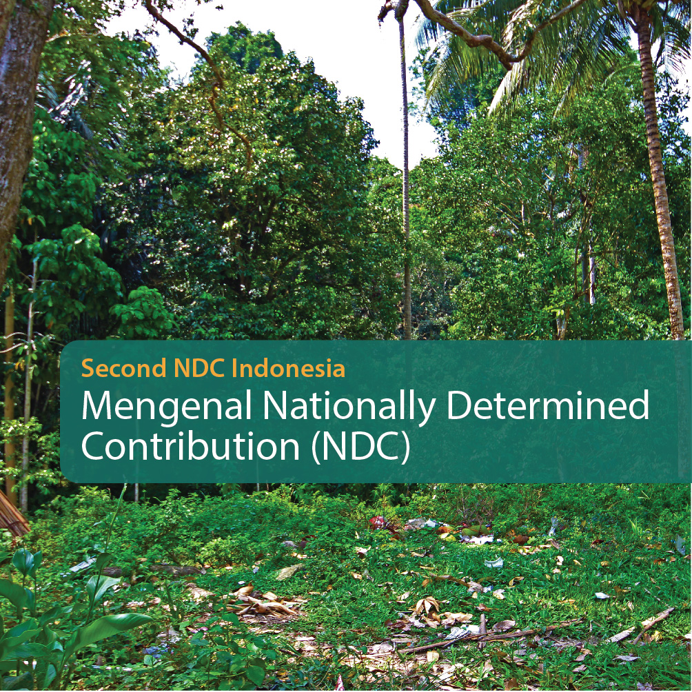 Mengenal Nationally Determined Contribution (NDC)